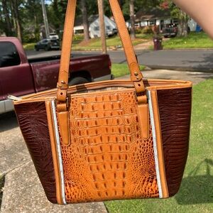Brahmin